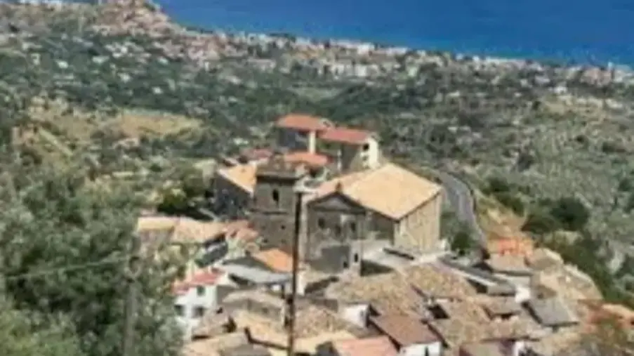 Il mistero del lupo di Montauro: avvistamenti notturni al trivio tra Gasperina e Stalettì