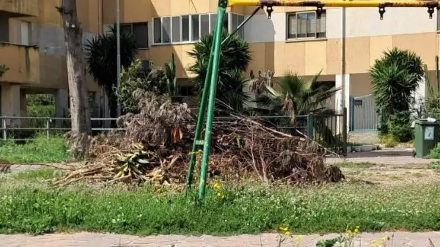 Catanzaro, Riccio: "Il parco comunale in via Forni trasformato in una discarica" 