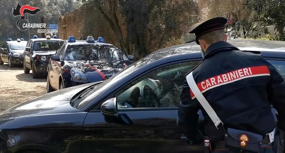 Gioia Tauro, cane denutrito e malato salvato dai Carabinieri: denunciato il proprietario