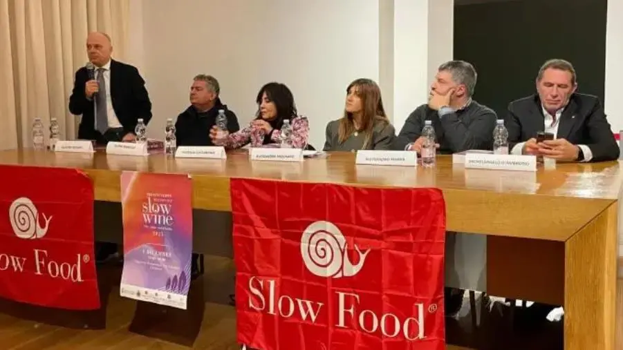 Catanzaro presenta la Guida Slow Wine: conferiti i riconoscimenti ai vignaioli 