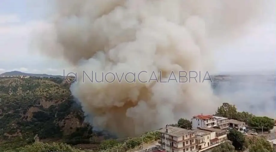 Incendio minaccia abitazioni nel Catanzarese, inviato sul posto anche un canadair