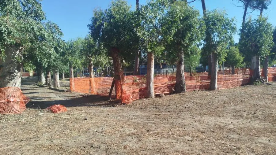 images Simeri Crichi, il parco Homomorto rinasce: investiti 200mila euro in 12 mesi 