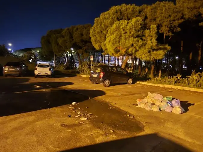 Catanzaro, Assisi (FI): "L'Amministrazione Fiorita e quell'approccio filosofico fatto di incuria e abbandono" 