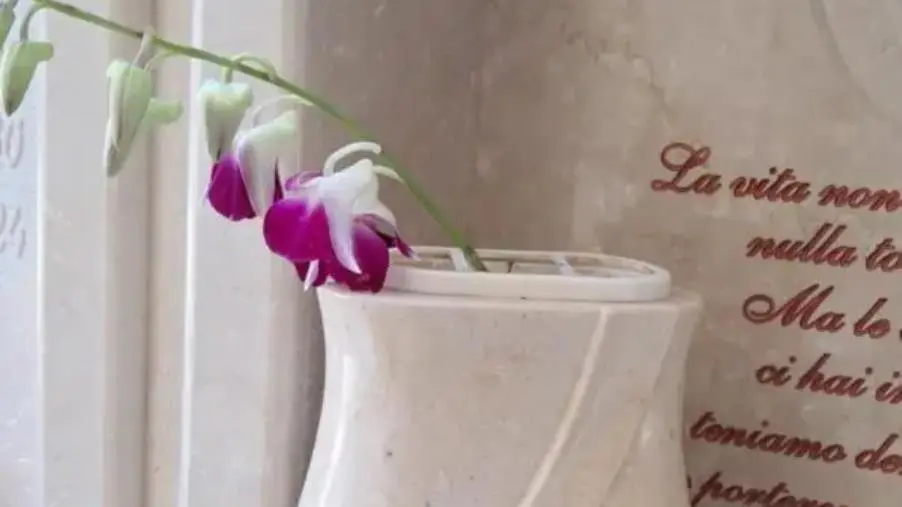 images Catanzaro, furti sulla tomba del papà nel cimitero: "Da mesi, ogni settimana, rubano i fiori"