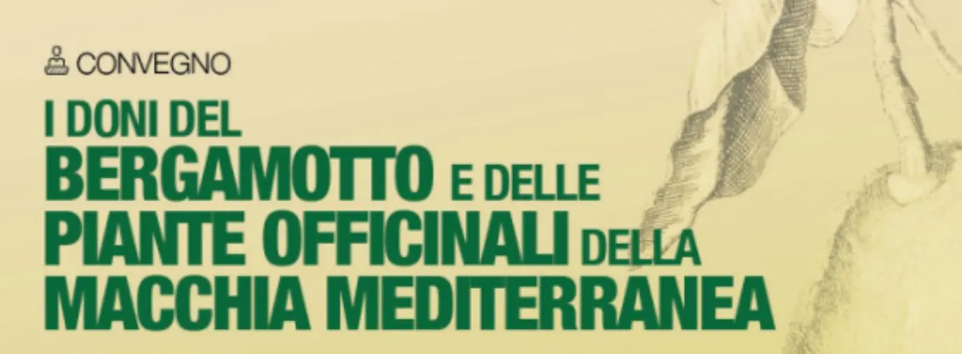 Qualità terapeutiche del bergamotto e la promozione, giovedì 12 dicembre a Reggio il seminario 