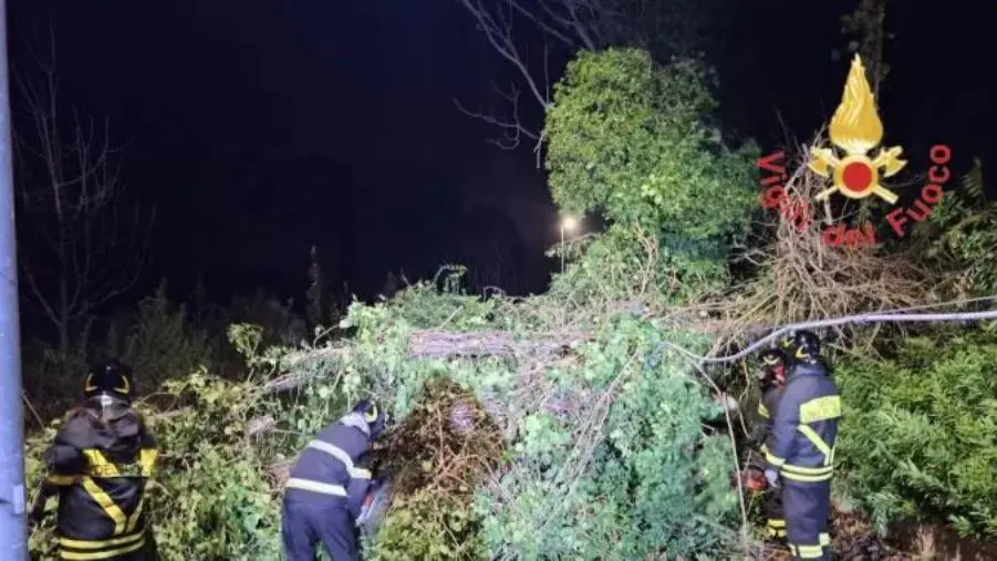 Calabria sferzata dal forte vento: oltre 100 gli interventi dei vigili del fuoco 