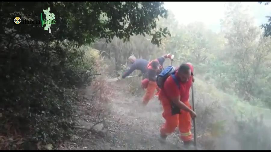 images Emergenza incendi, il commissario di Calabria Verde mobilita tutti gli operai idraulico-forestali per presidiare il territorio