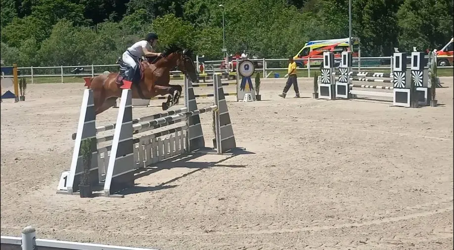 Catanzaro, entra nel vivo il Campionato Regionale Salto Ostacoli 2025 alla Valle dei Mulini