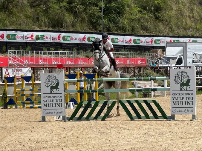Sport e spettacolo equestre al Valle dei Mulini: Catanzaro brilla nel Circuito MASAF Sud

