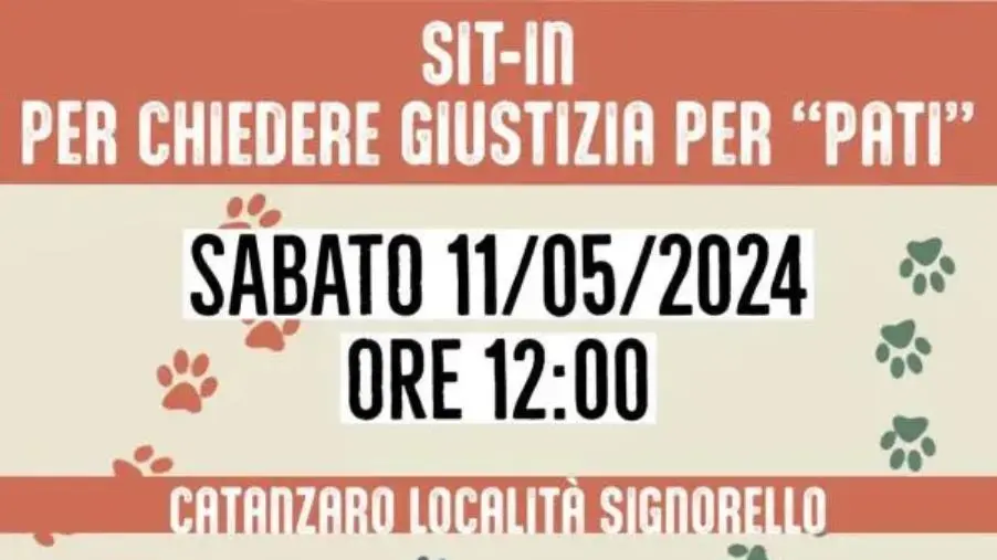 Cane massacrato a Signorello, sabato sit-in per chiedere giustizia