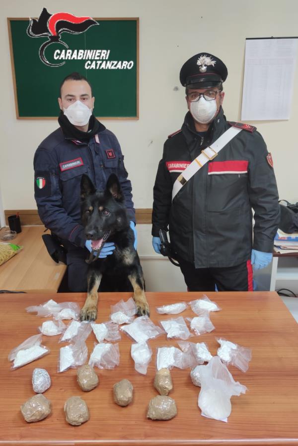 images Getta la droga dalla finestra ma non basta: i carabinieri a Catanzaro arrestano un 37enne con oltre un chilo di cocaina