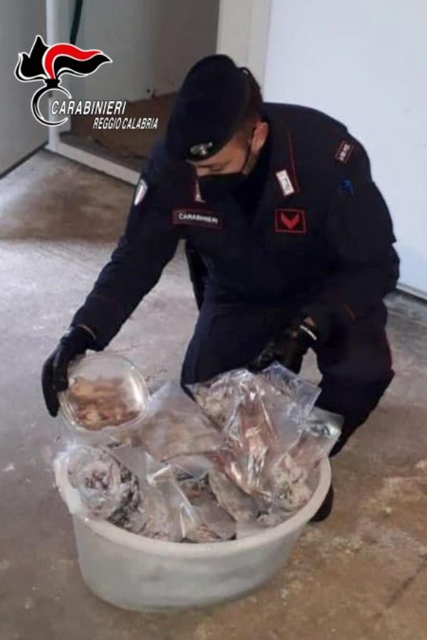 Delianuova. Oltre 200 ghiri nel congelatore e 700 piantine di marijuana illegali: 3 arresti 