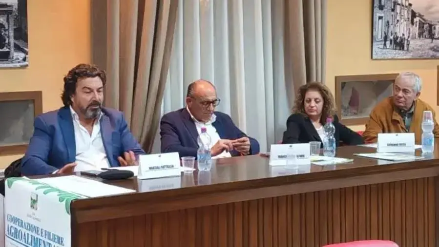 Gal “Serre Calabresi”, a Cortale un convegno sulla cooperazione a supporto delle produzioni locali
 