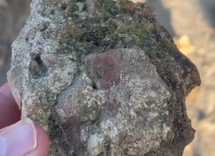 Calipezzati, sopralluogo in località Gadice per verificare presenza ambiente archeologico 