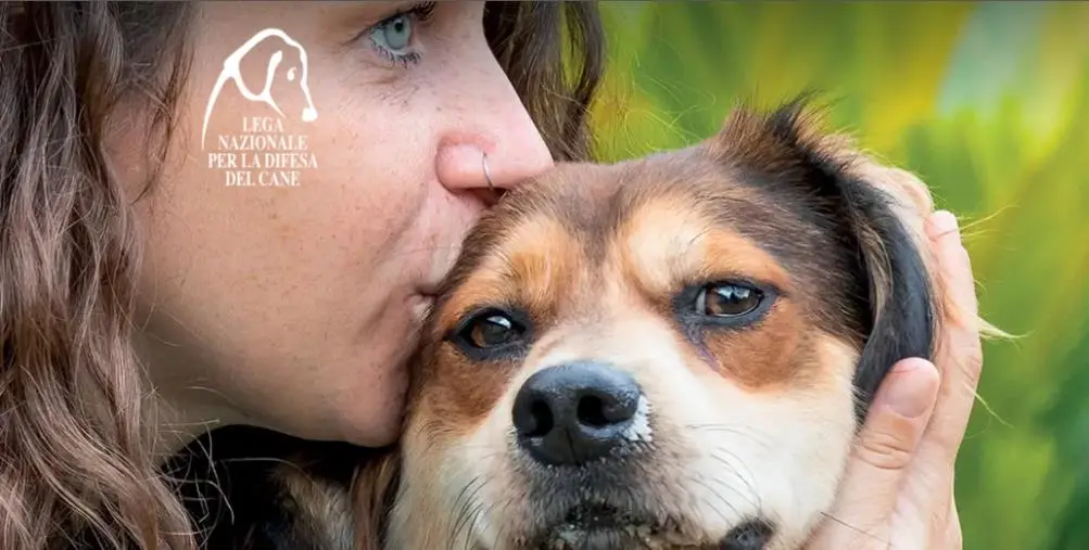 Due cuccioli uccisi a fucilate a Cotronei, l'appello di LNDC Animal Protection: "Chi sa parli" 