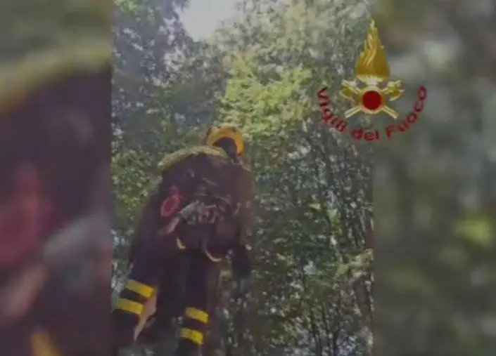 Parco del Pollino, i vigili del fuoco soccorrono 7 scout che avevano perso l'orientamento 