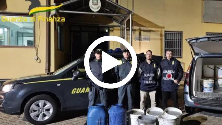 Lotta alla pesca di frodo, sequestrati oltre 600 Kg di novellame di sarda nel Cosentino