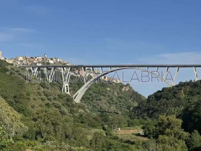 Catanzaro, l'associazione 'Petrusinu ogni minestra': "Quando finiranno i lavori sul ponte Bisantis?"