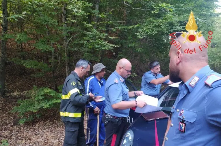 images Disperso 75enne alla ricerca di funghi a Taverna, rintracciato dai vigili del fuoco 