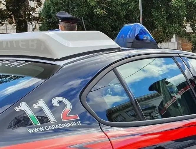 Droga, munizioni, violazioni del codice della strada: i controlli dei carabinieri a Soveria Mannelli durante il ponte festivo 