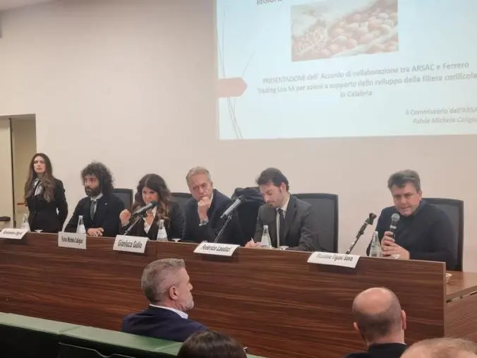 Filiera della nocciola, presentato alla Cittadella di Catanzaro l'accordo con Ferrero e Arsac