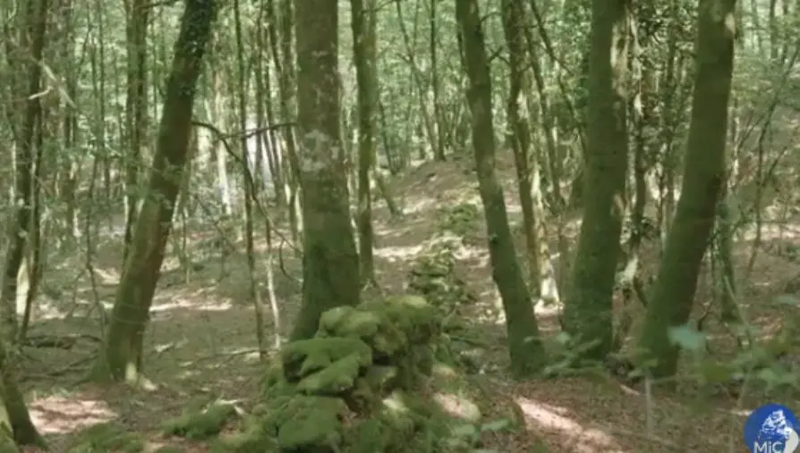 images Archeologia, scoperta in Aspromonte una struttura muraria nel 72 a.C.  