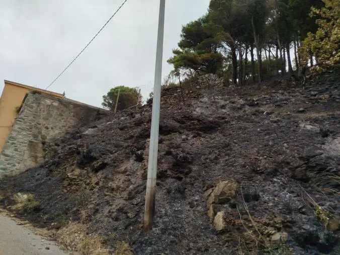 images Domato lo spaventoso incendio a Gimigliano, nelle prossime ore la conta dei danni