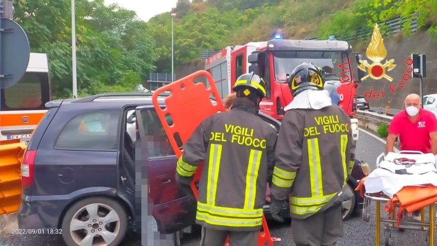 images Aspromonte, va a funghi con gli amici e si perde: recuperato dai Vigili del fuoco 