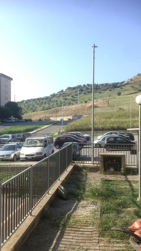 Catanzaro. Sassaiola contro i passanti a viale Isonzo. La denuncia di Sergio Costanzo: "Si è rischiata la tragedia"