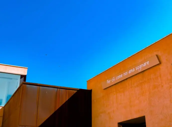 L’Accademia di Belle Arti di Catanzaro cerca il suo nuovo presidente: termini aperti fino al 18 marzo