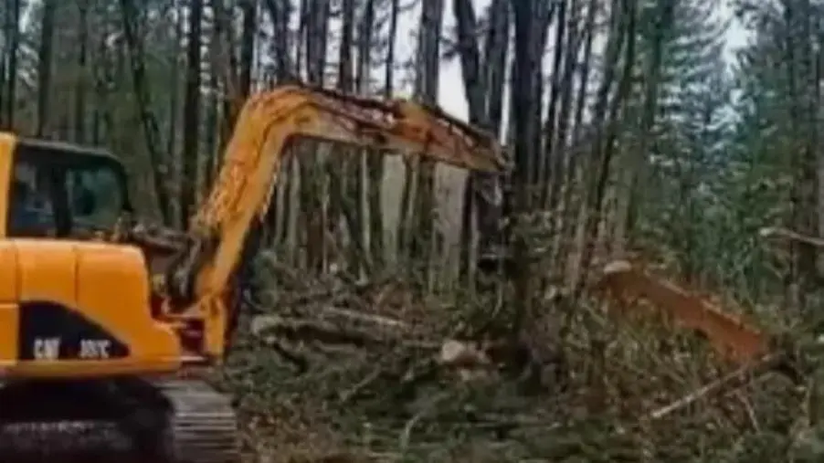 Maltempo a Catanzaro, al lavoro per liberare tutte le strade provinciali 
