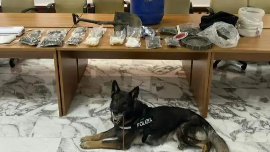 images Droga in casa: un arresto a Reggio Calabria