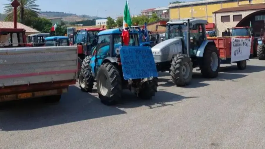 images Emergenza cinghiali, è iniziata la mobilitazione Coldiretti a Cosenza: previste 4mila persone