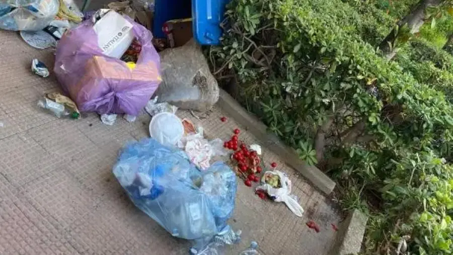 Abbandonati a Pietragrande: la vergognosa situazione tra rifiuti e cinghiali