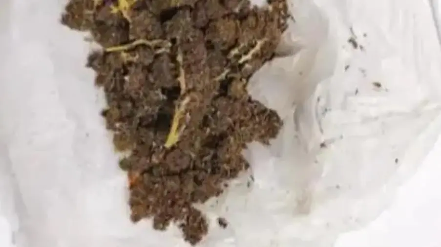 Catanzaro, trovato con marijuana addosso e a casa: arrestato, ottiene subito l'obbligo di firma