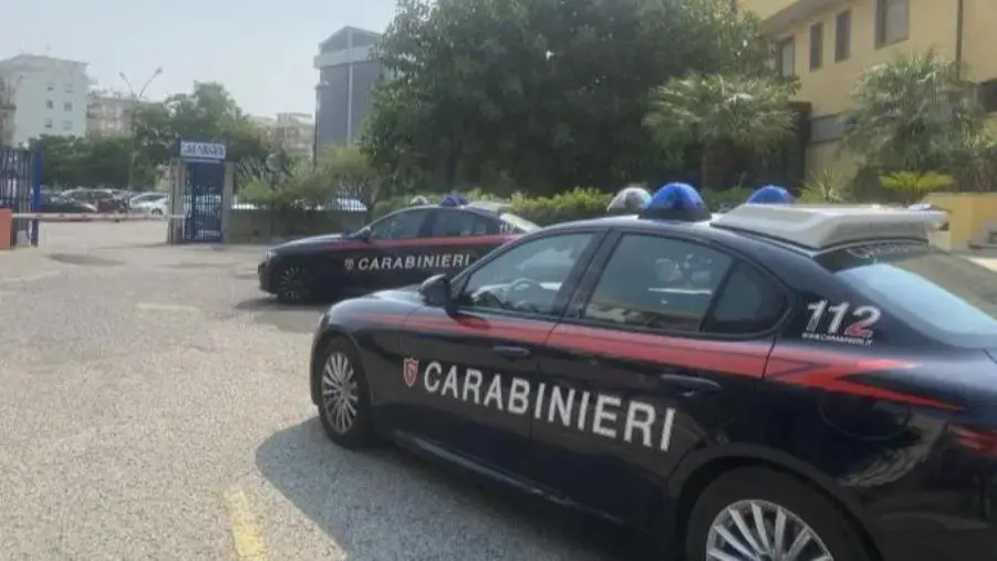 Cibo scaduto e lavoro nero, sanzionato il titolare di un ortofrutta nel Soveratese 
