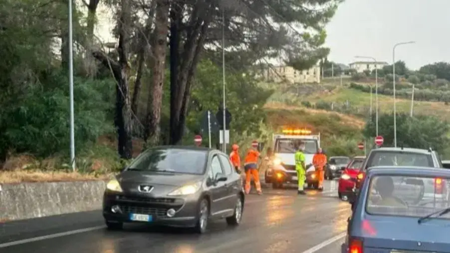 images Maltempo, a Copanello detriti sulla carreggiata: strada bloccata e rallentamenti