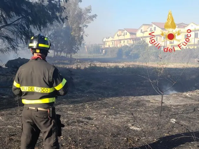 Incendio nel cosentino minaccia numerose abitazioni: intervento in corso dei Vigili del fuoco 