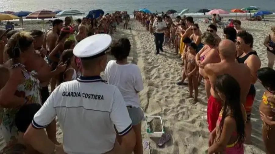 images Gioia Tauro,  la Capitaneria di porto salva una tartaruga