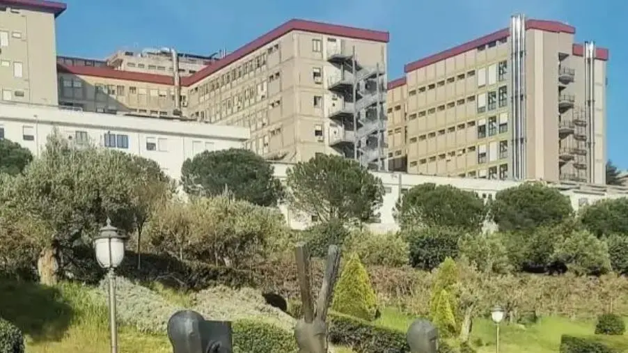 Nuovo ospedale, ecco la proposta di Pileggi (Cara Catanzaro)
