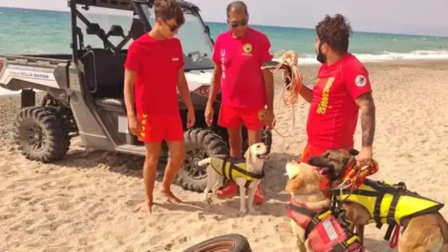 Sellia Marina, l’Unità Cinofila ANPAS recupera materiale inquinante dal mare