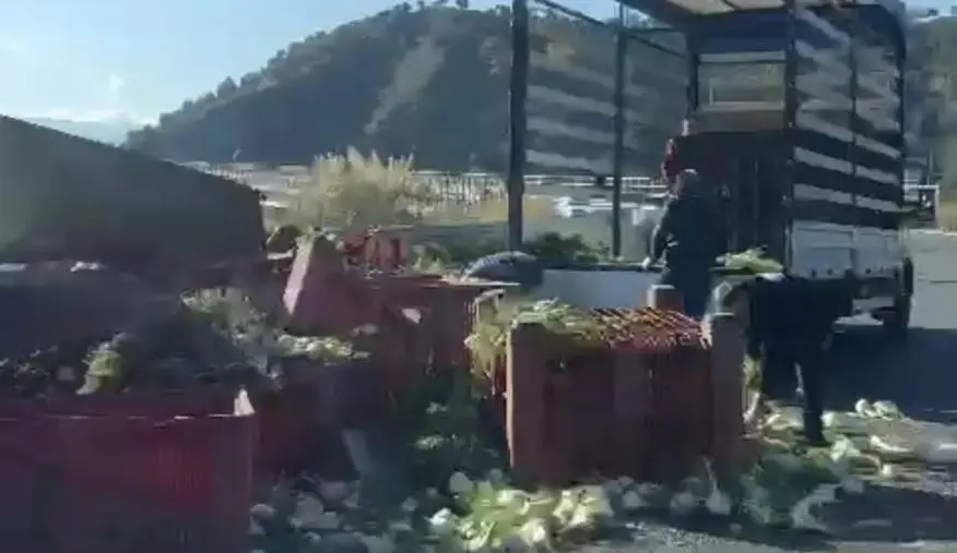 Catanzaro, camion carico di finocchi si ribalta lungo la Statale 280