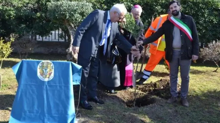 Reggio: piantumato un albero di ulivo in ricordo di Giovanni Palatucci 