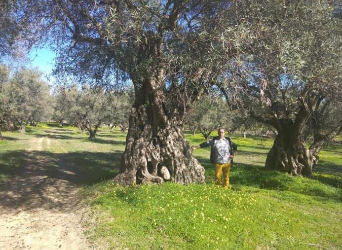 images Con l’associazione "La Valle del Re" si riscoprono gli alberi millenari di Mesoraca 