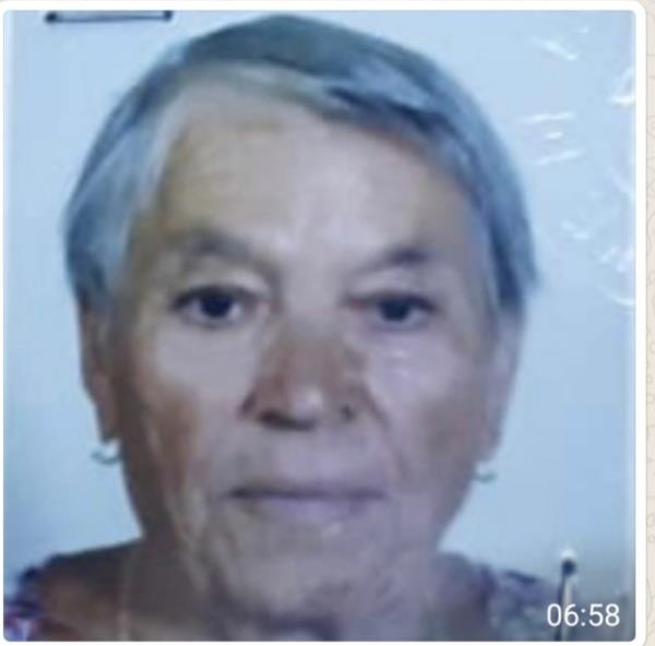 Mistero a lieto fine: trovata nelle campagne di Sant'Andrea la donna di 81 anni scomparsa ieri