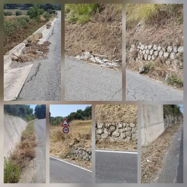 images Preoccupazioni lungo la SP 52: i lavori di pulizia degli argini lasciano dubbi e timori