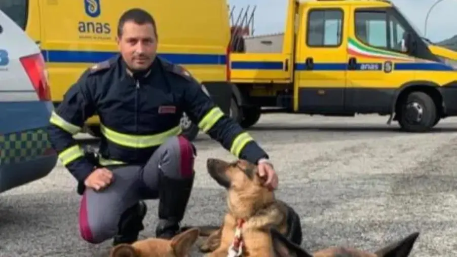 images #senontiportononparto: il nuovo spot della Polizia contro l’abbandono degli animali