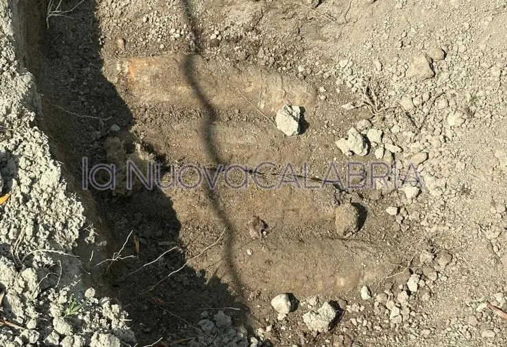 images Catanzaro, rinvenuti quattro ordigni bellici presso il Campus di Germaneto