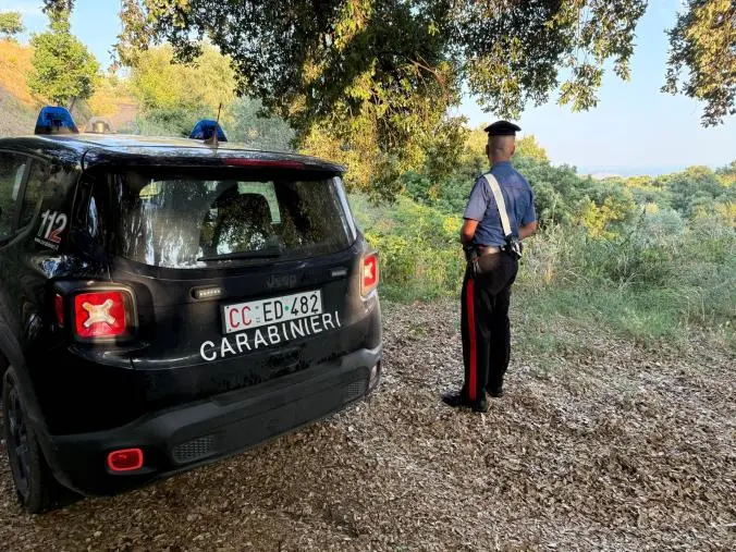 Tiriolo, arrestato 43enne per coltivazione di marijuana 