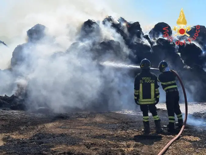 Vasto incendio in un'azienda agricola a Soveria Simeri: intervento in corso dei Vigili del Fuoco
